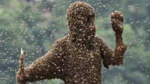 Swarm of Angry Bees Taking Over