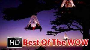 Best Of The Week: Honeymoon In A Dangling Tent