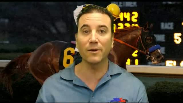 Kentucky Derby 2013 contenders - VYJACK Verrazano Goldencents Overanalyze