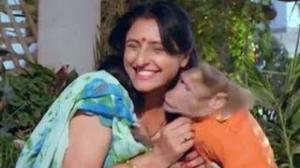 Monkey Busy Romancing - Best Comedy Scene - Ahankaar - Mithun Chakraborty