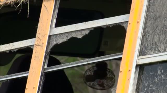 School Bus Crash Injures Five Children