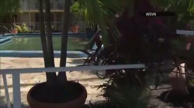 Crash Sends Car Into Fla. Pool