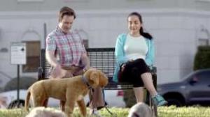 Samsung Premium Monitor Series 9: Buddy The Dog