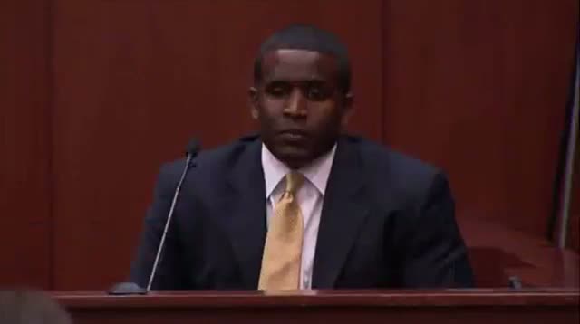 Zimmerman: What Did He Know and When?