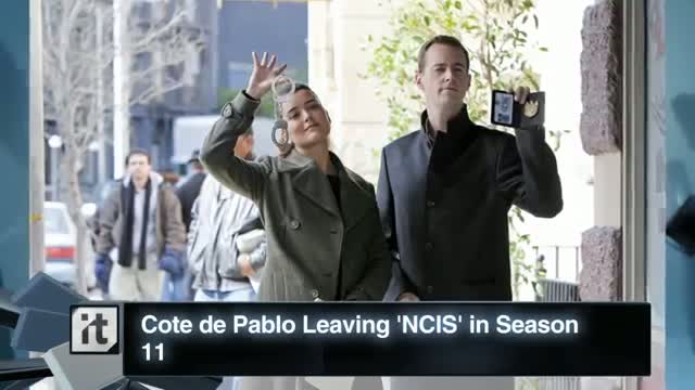 Cote de Pablo Leaving 'NCIS' in Season 11