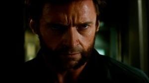 Everything You Need to Know: The Wolverine