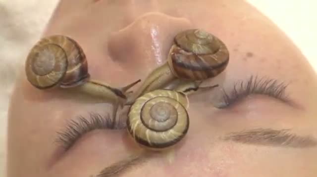 Snail Facials Crawl Onto Japanese Beauty Market