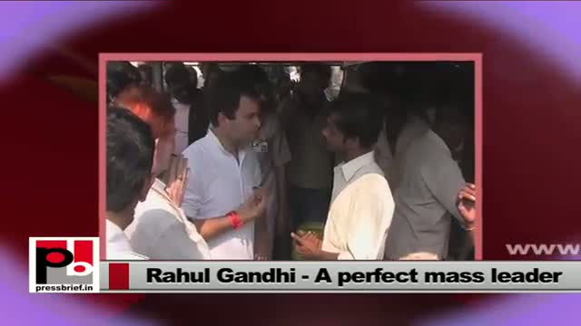 Rahul Gandhi - charismatic Congress Vice President