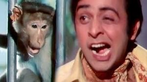 Vinod Mehra & Monkey - Funniest Comedy Scene - Do Phool (1973)