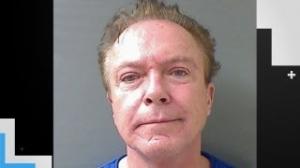 David Cassidy Arrested for DWI