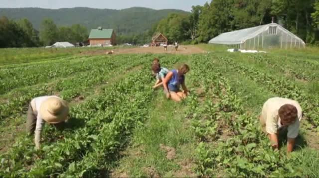 Two Years After Irene, Vt Farmers Recover