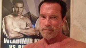 Arnold Schwarzenegger's Shirtless Selfie