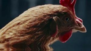 Mercedes-Benz Dancing Chickens Commercial