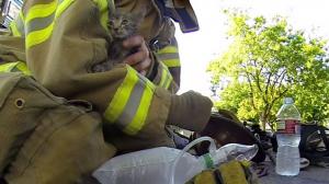 Fireman With A GoPro Saves A Kitten