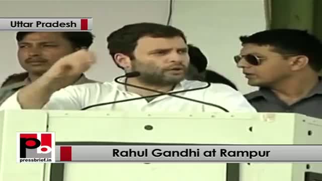 Rahul Gandhi in Rampur: Food Security Law will ensure no one lives in huger in our country