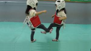 World's Cutest Taekwondo Fight