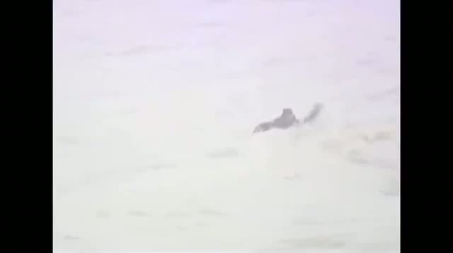 Surfer Aids Rescue Then Rides Huge Wave