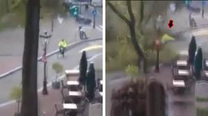 Cyclist Almost Killed By Falling Tree