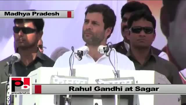 Rahul Gandhi : Congress fights as a unit in MP elections