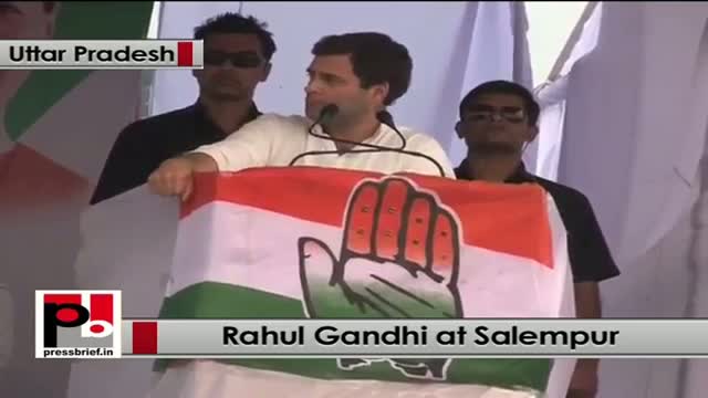 Rahul Gandhi : Congress will form government in UP in 2014