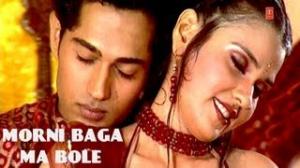 Morni Baga Ma Bole Remix - Hit Hindi Pop Video Song - Miss Spicy Mix