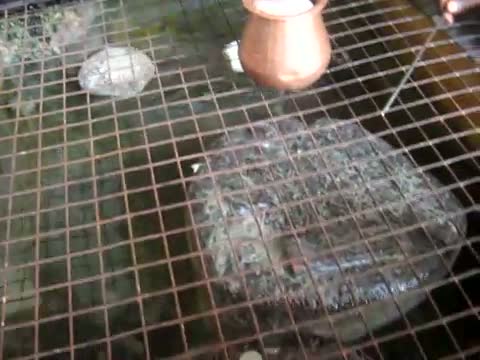 Ram Setu -Floating Stones at Kanyakumari