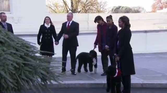 First Lady: Tree Is 'Best Part' of Holidays