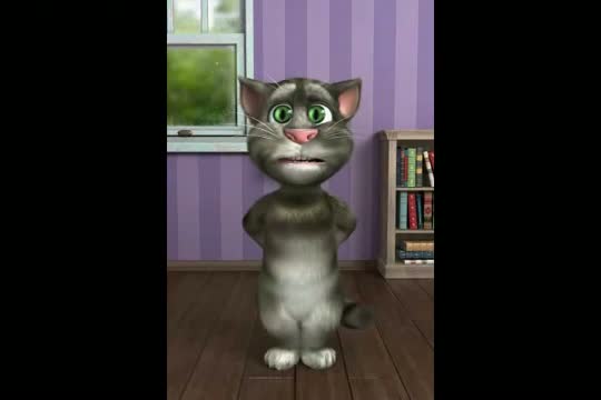 Talking Tom Cat Singing Tum Hi Ho Song - Aashiqui 2 Movie