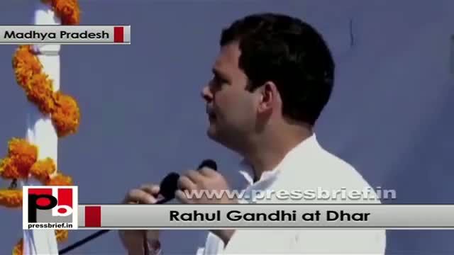 Rahul Gandhi: BJP runs the government of 'select-people'