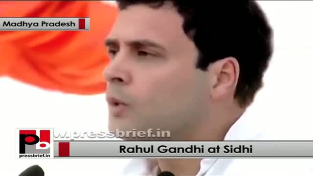Rahul Gandhi: Congress believes in equality among masses