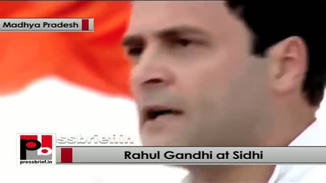 Rahul Gandhi: BJP divides people on the basis of caste and religion
