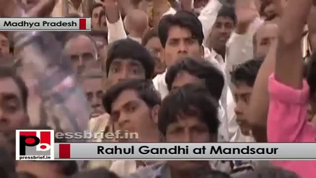 Rahul Gandhi: Congress ensures that no poor will suffer from hunger now