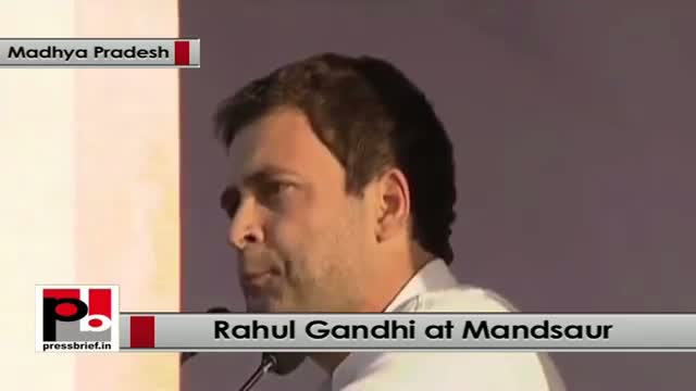 Rahul Gandhi : Congress consists of young energetic leaders