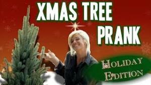 Super-Quick Growing Christmas Tree - Gagstravaganza Day 12 - Just For Laughs Gags 2013