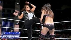 Brie Bella vs. Tamina Snuka: WWE SmackDown, Dec. 20, 2013