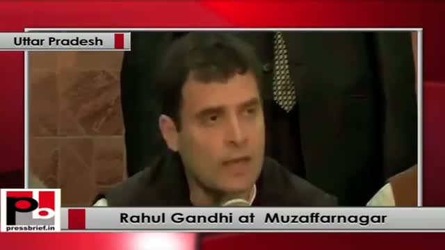 Rahul Gandhi: Govt. should focus more on relief camps