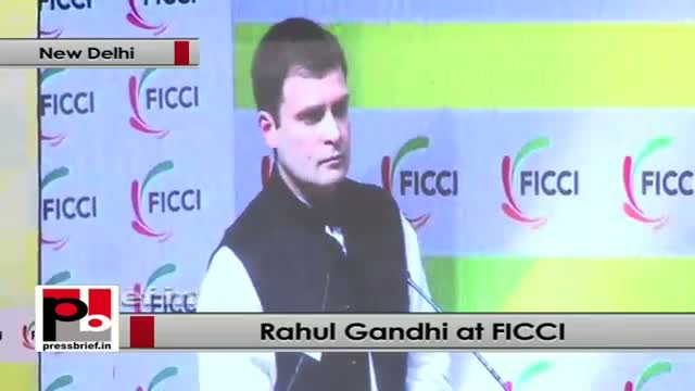 Rahul Gandhi: We have to completely strengthen the variety industry