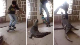 Skateboarder Ollies Over a Crocodile