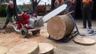 Angry 4.1 Litre V8 Chainsaw From Down Under!
