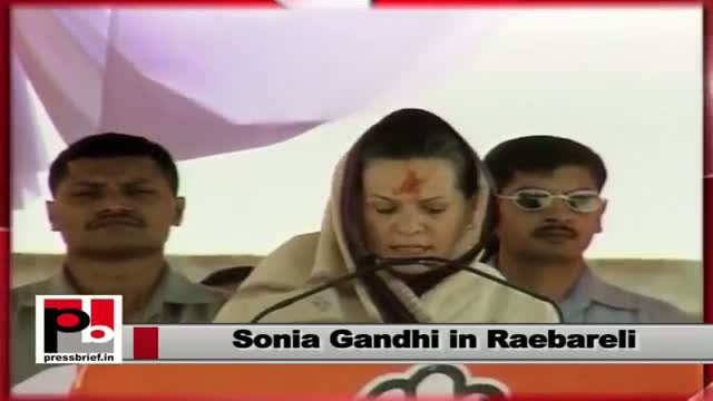 Sonia Gandhi: I have to protect the faith which you have in me