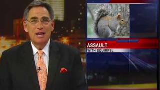 Woman Stabs Husband With Squirrel