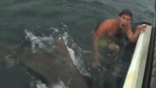 Dude Has Close Encounter With Shark