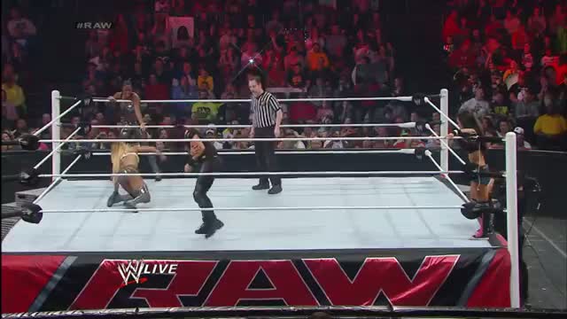 The Funkadactyls vs. AJ Lee & Tamina: WWE Raw, Jan. 20, 2014