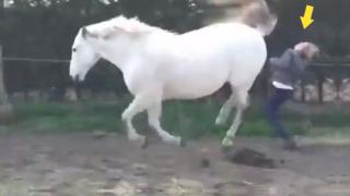 When Horsing Around Goes Wrong