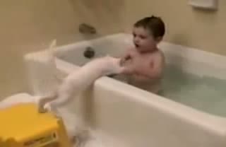 Kid Having Fun With Cat In Bath Tub - Funny Cats Video