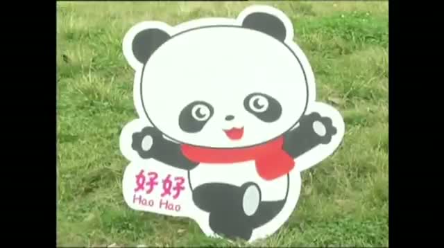 Pandas Begin Journey From China to Belgium