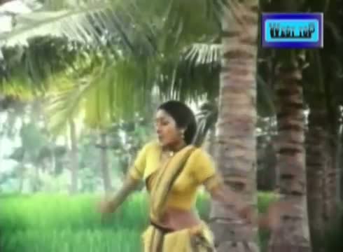 Thethi Onnu Song - Pavunu Pavunuthan - K Bhagyaraj, Rohini (Tamil)