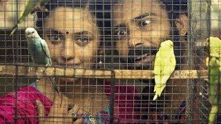 Cuckoo Theatrical Trailer - Attakathi Dinesh , Malavika Nair, Raju Murugan - Tamil Film 2014
