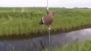 Pole Vaulting Over The River Fail