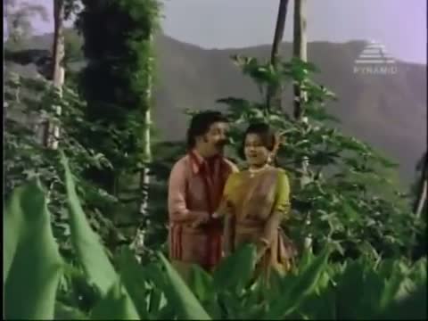 Paruthi Edukayile - Aatukkara Alamelu - Sivakumar & Sripriya (Tamil Song)